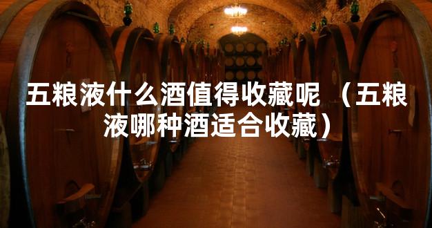 五粮液什么酒值得收藏呢 （五粮液哪种酒适合收藏）